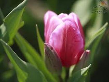 images (13)