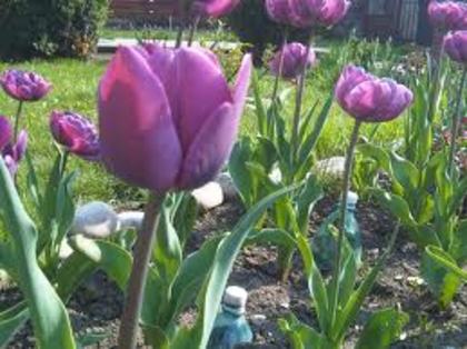 images (26)