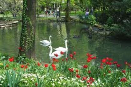 images (27)