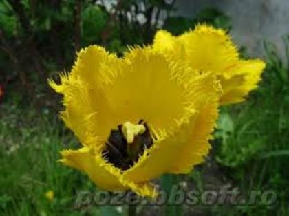images (28)