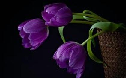 images (35)