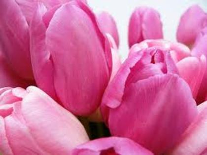 images (18)