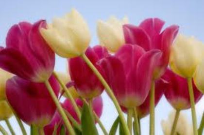 images (23)