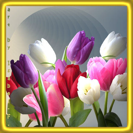 vmimgs1339 - FLORI DE TOATE CULORILE