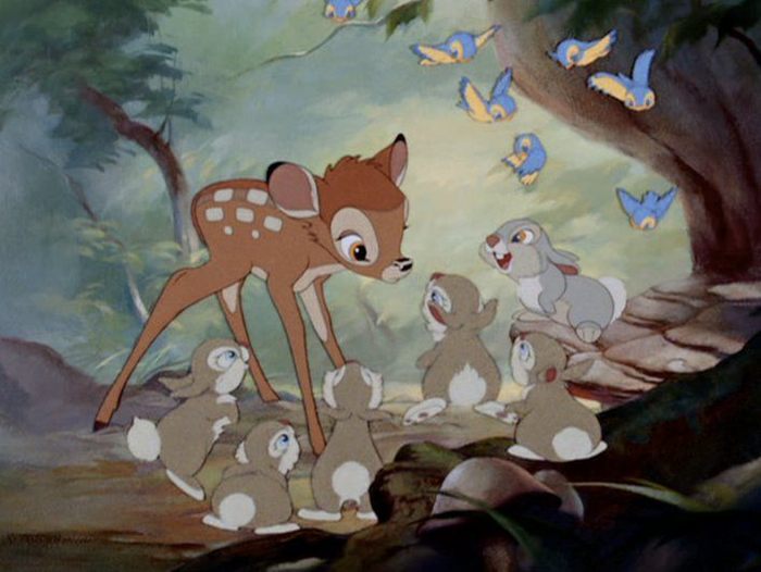 190588_198965990123363_110175879002375_700143_5074032_n - Bambi