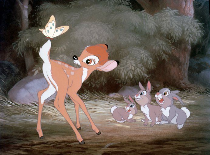 196973_198999240120038_110175879002375_700427_4793058_n - Bambi