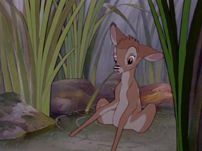 208055_204591869560775_110175879002375_742176_1367364_n - Bambi