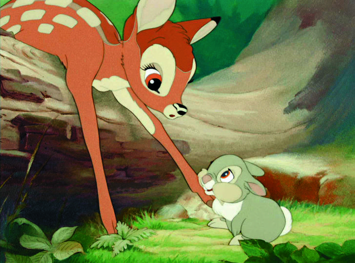 248302_218509351502360_110175879002375_851335_7930338_n - Bambi