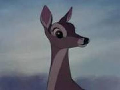 images (4) - Bambi