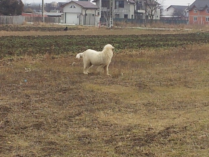 2011-12-24 12.05.43 - Urania de Romania