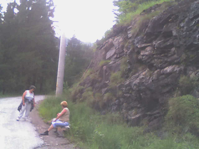 lacul lesu imprejurimi 035