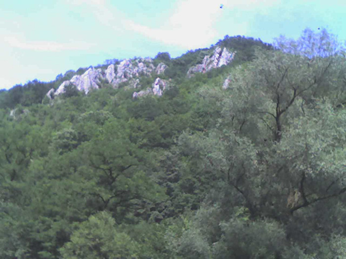 lacul lesu pe drum spre lac 025