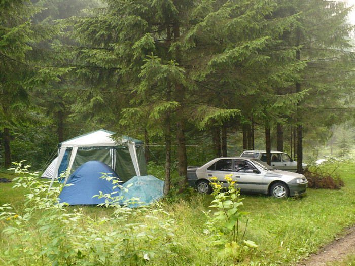 lacul lesu valea lupului in popas 057