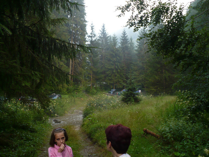 lacul lesu valea lupului in popas 060