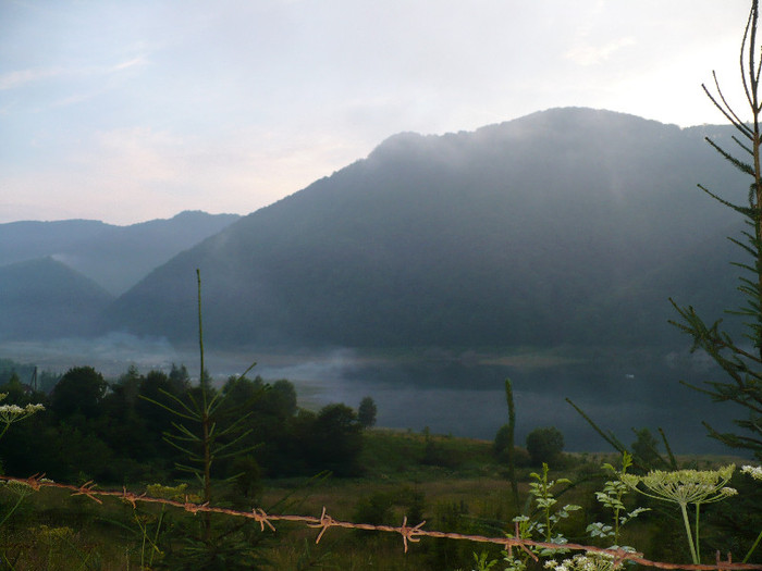 lacul lesu coada lacului 025