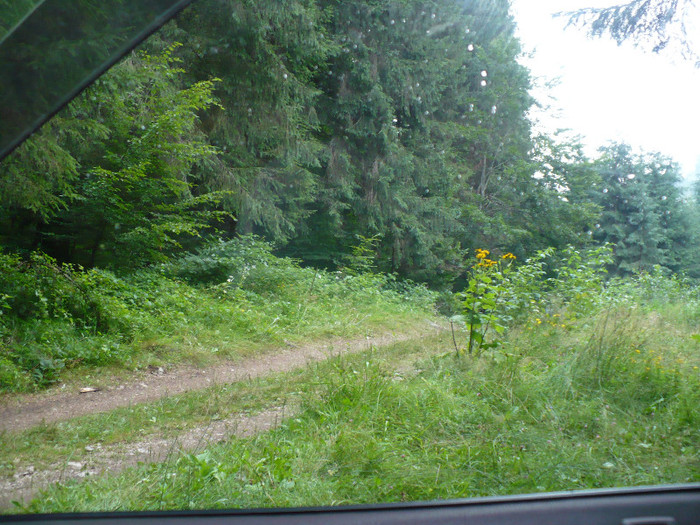 lacul lesu valea lupului 026