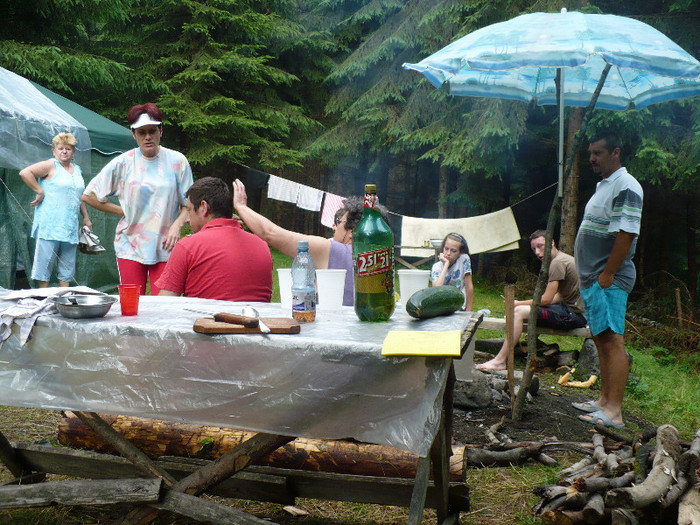 lacul lesu valea lupului in popas 073