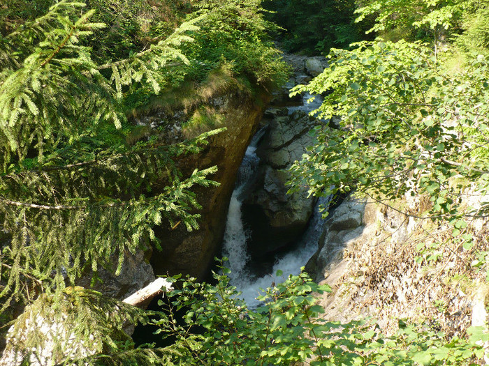 cascada iadolina 003