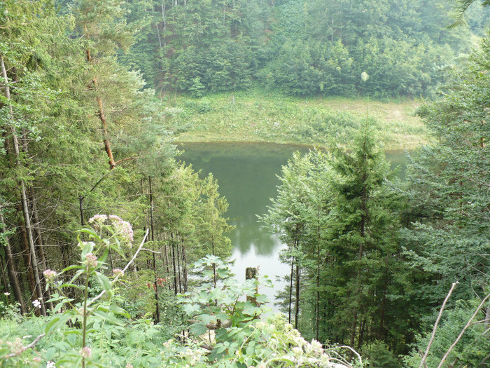 lacul lesu 005