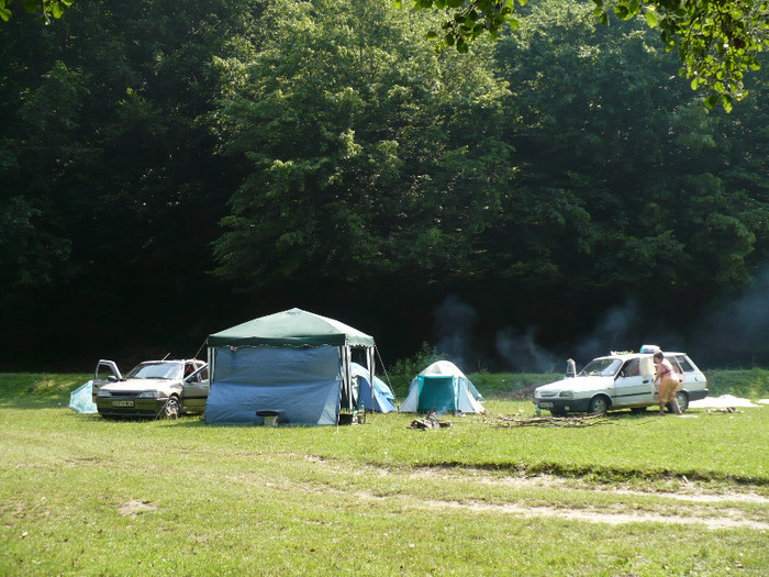 la padurea neagra cu cortul 002