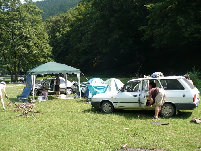 la padurea neagra cu cortul 003