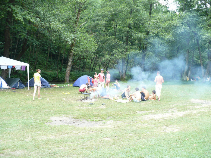 la padurea neagra cu cortul 005