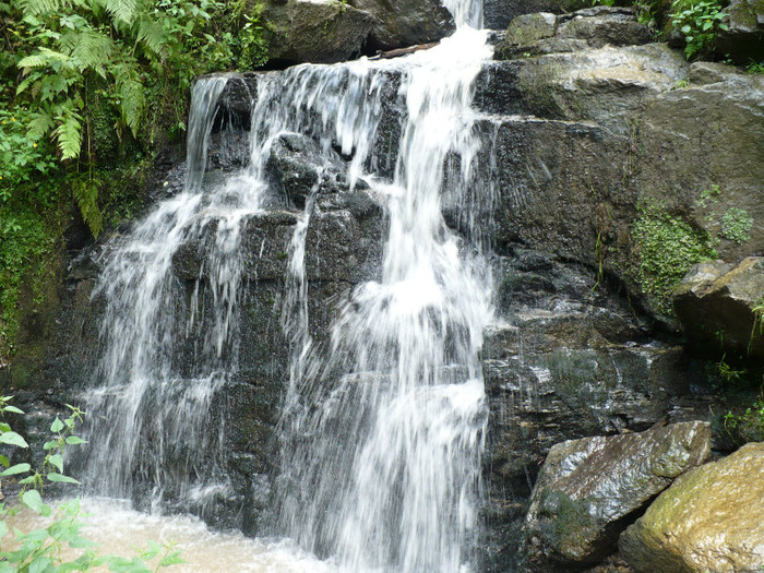 Padurea Neagra imprejurimi 010