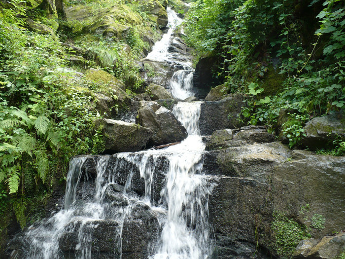 Padurea Neagra imprejurimi 011