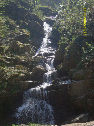 Padurea Neagra imprejurimi 013