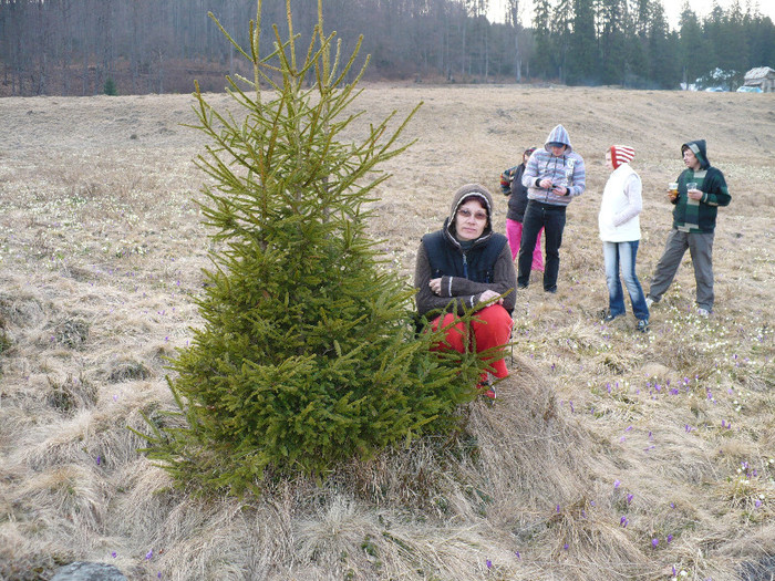 Izvoarele Maramures 047 - LACUL FIRIZA SI STATIUNEA IZVOARELE