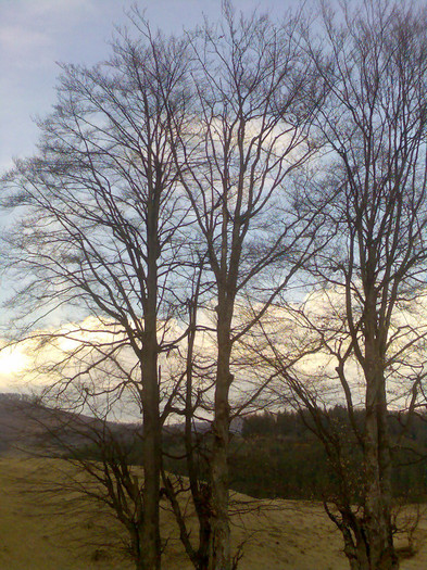Izvoarele Maramures 048 - LACUL FIRIZA SI STATIUNEA IZVOARELE