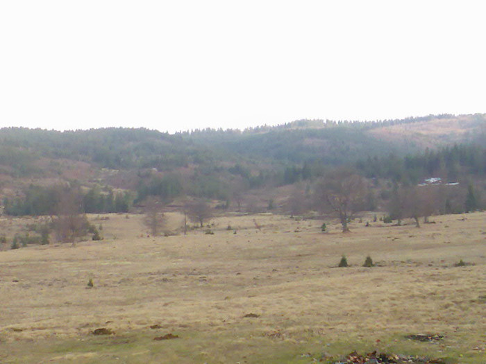 Izvoarele Maramures 049 - LACUL FIRIZA SI STATIUNEA IZVOARELE