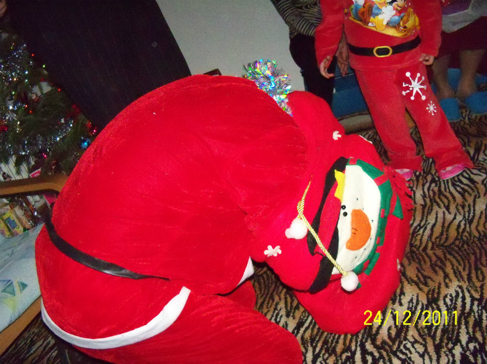 100_1960 - Mos Craciun 2011