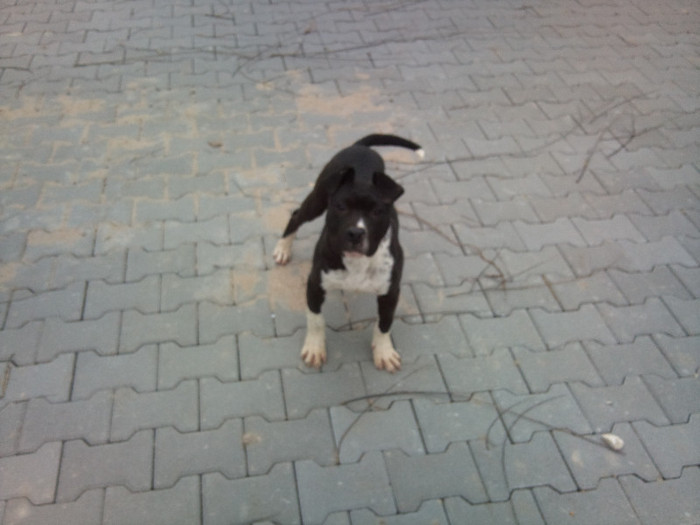 Photo565 - Sara si Leo