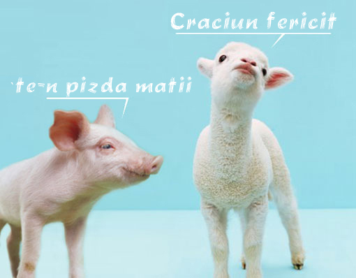 poze-haioase-craciun-fericit