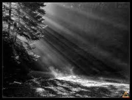 images (42)