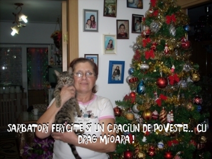 497ad97cf4d4194df17c21085f692ee3