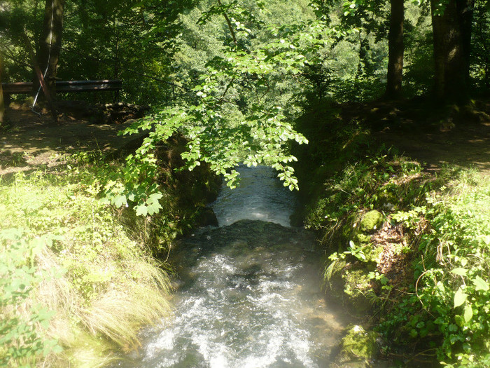 vadu crisului 019 - VADU CRISULUI 2011