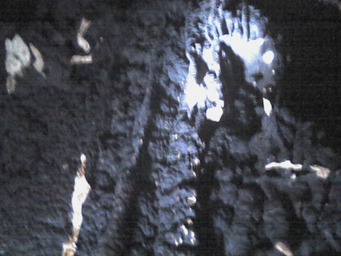 pestera Vadu Crisului 022 - VADU CRISULUI 2011