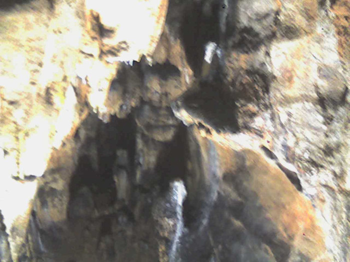 pestera Vadu Crisului 026 - VADU CRISULUI 2011