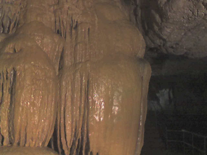 pestera Vadu Crisului 029 - VADU CRISULUI 2011