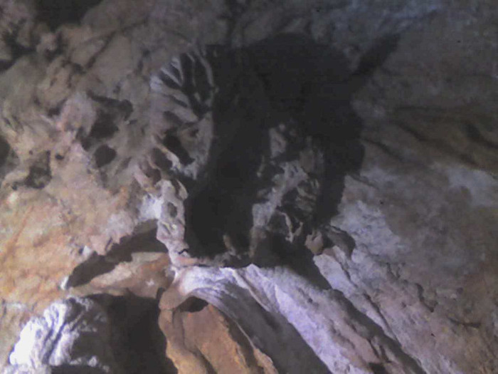 pestera Vadu Crisului 030 - VADU CRISULUI 2011