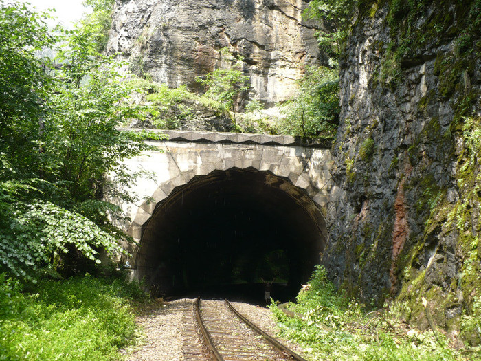 vadu crisului 020 - VADU CRISULUI 2011