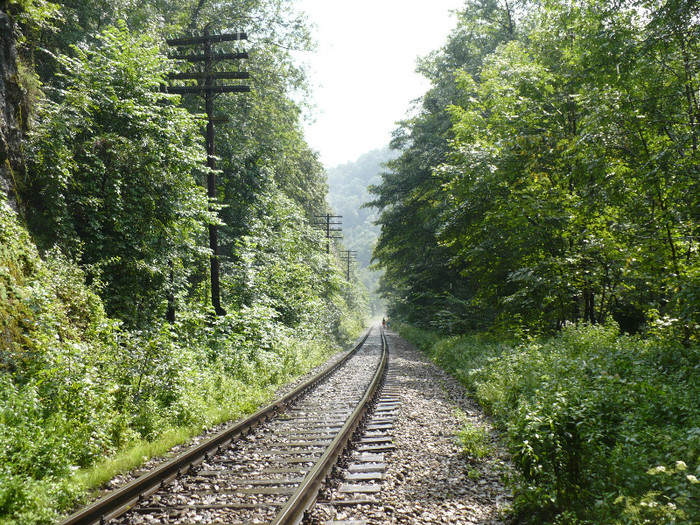 vadu crisului 021 - VADU CRISULUI 2011