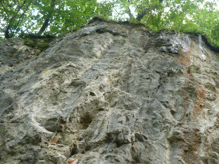 vadu crisului 023 - VADU CRISULUI 2011