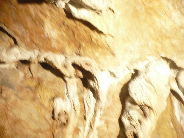 pestera Vadu Crisului 038 - VADU CRISULUI 2011