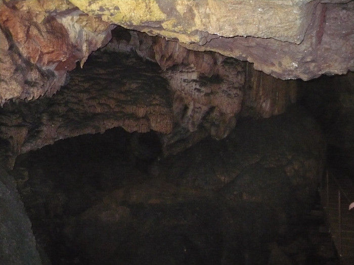 pestera Vadu Crisului 045 - VADU CRISULUI 2011