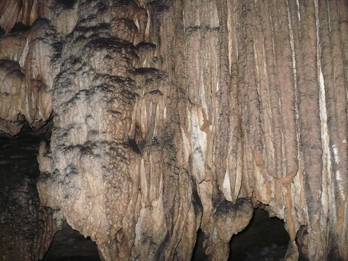 pestera Vadu Crisului 046 - VADU CRISULUI 2011