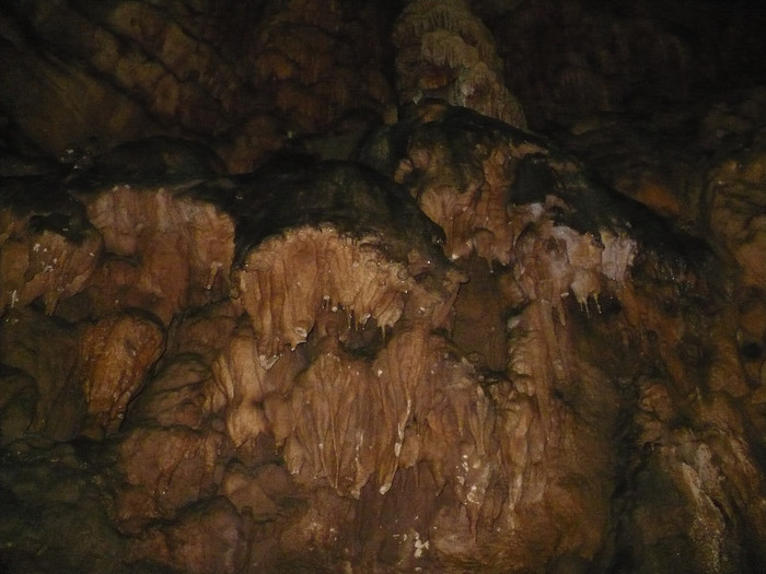 pestera Vadu Crisului 055