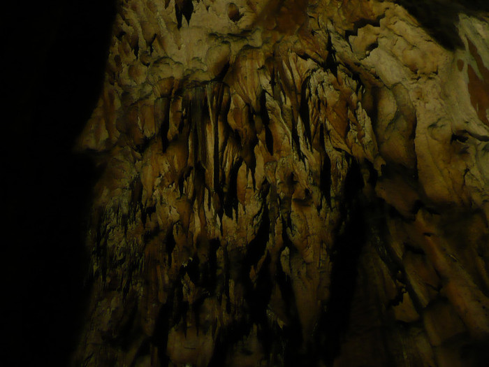 pestera Vadu Crisului 057